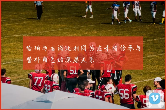 哈珀与吉诺比利同为左手将传承与替补角色的深厚关系
