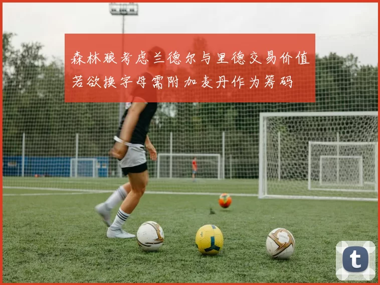 森林狼考虑兰德尔与里德交易价值若欲换字母需附加麦丹作为筹码