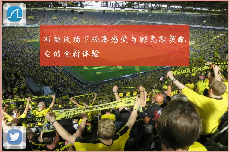 布朗谈场下观赛感受与獭兔默契配合的全新体验